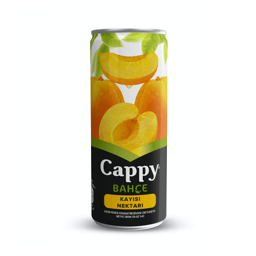 CAPPY KAYISI (33 CL.)